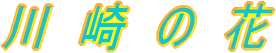 川崎の花